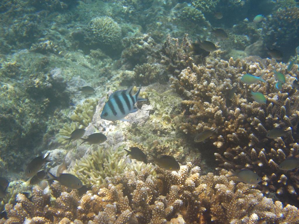 SANY0118_25.JPG
