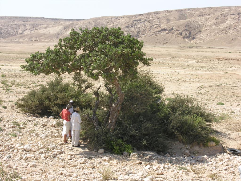DSCN1562.JPG