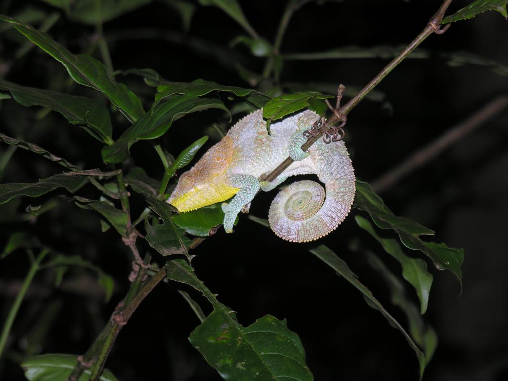 DSCN2225.JPG