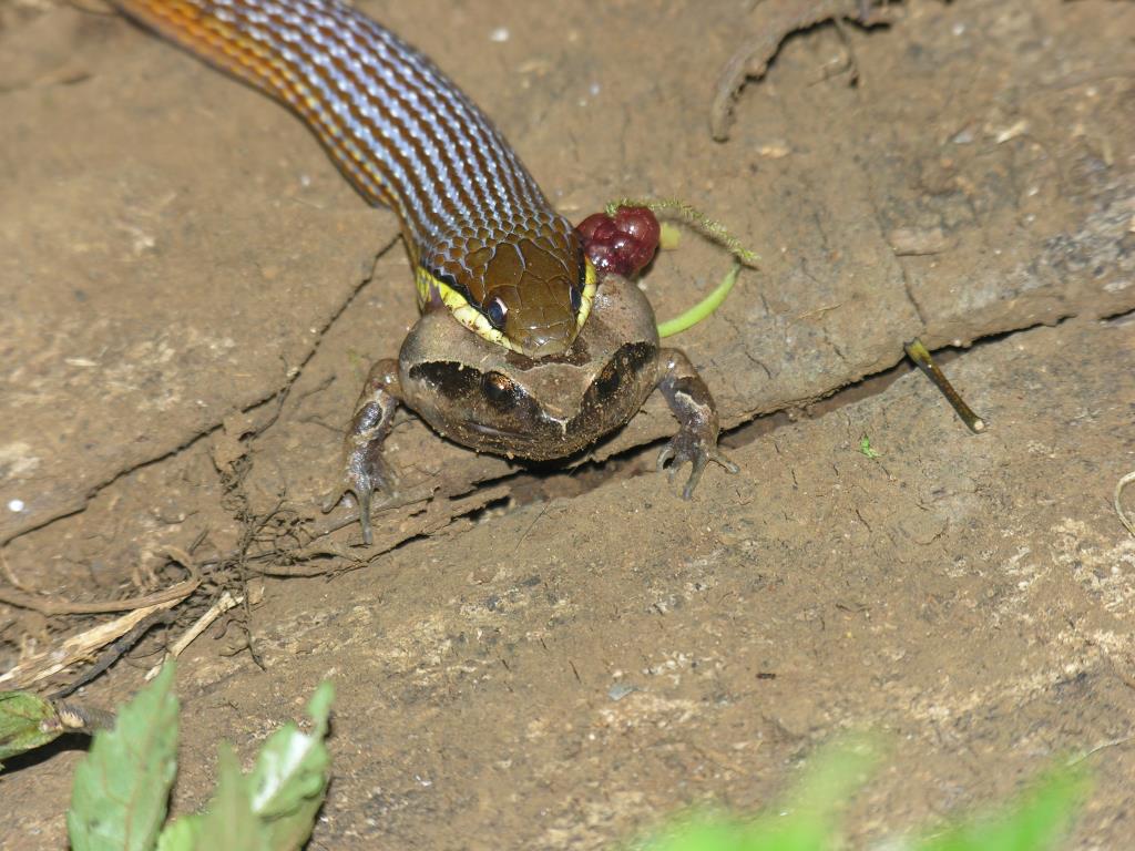 DSCN2278.JPG