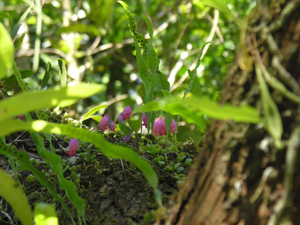 DSCN2305.JPG