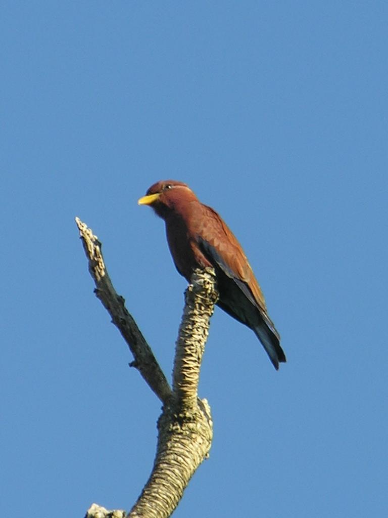 DSCN2318.JPG