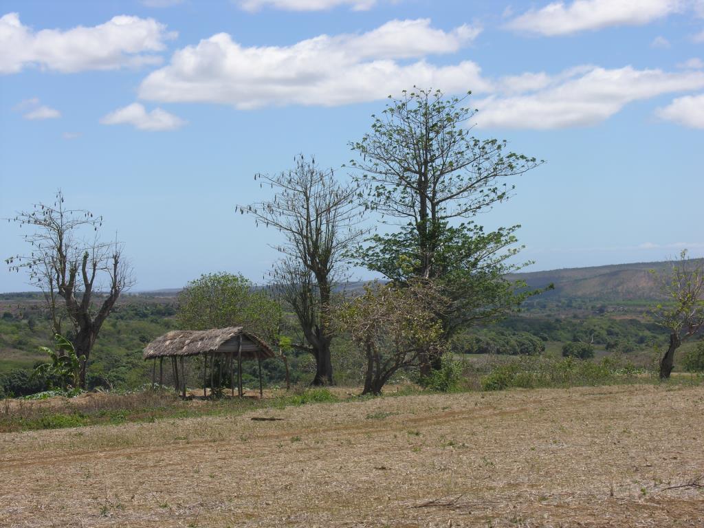 DSCN2397.JPG