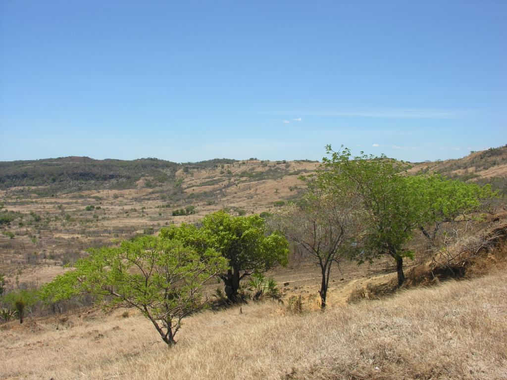 DSCN2427.JPG
