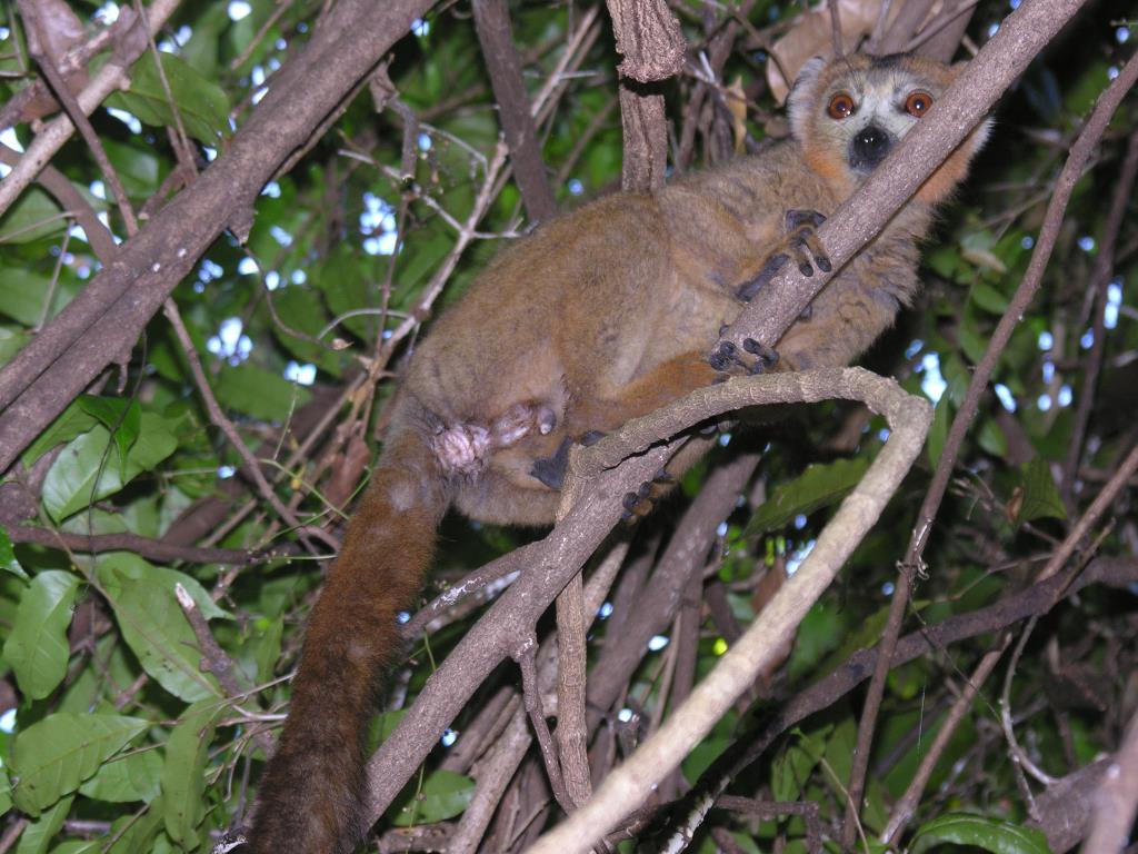 DSCN2466.JPG