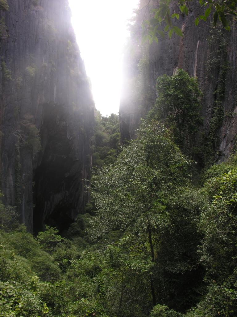 DSCN2524.JPG