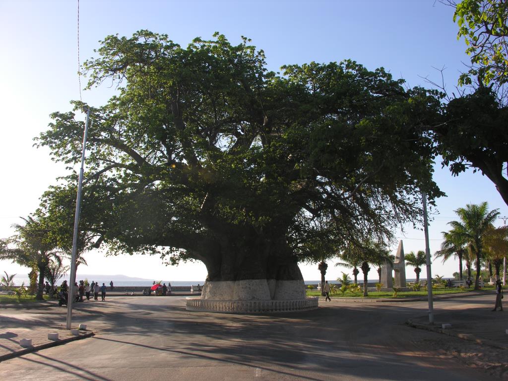 DSCN3160.JPG