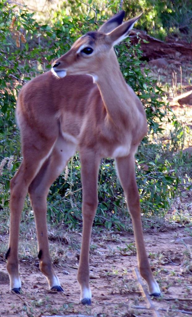 DSCN3625.JPG