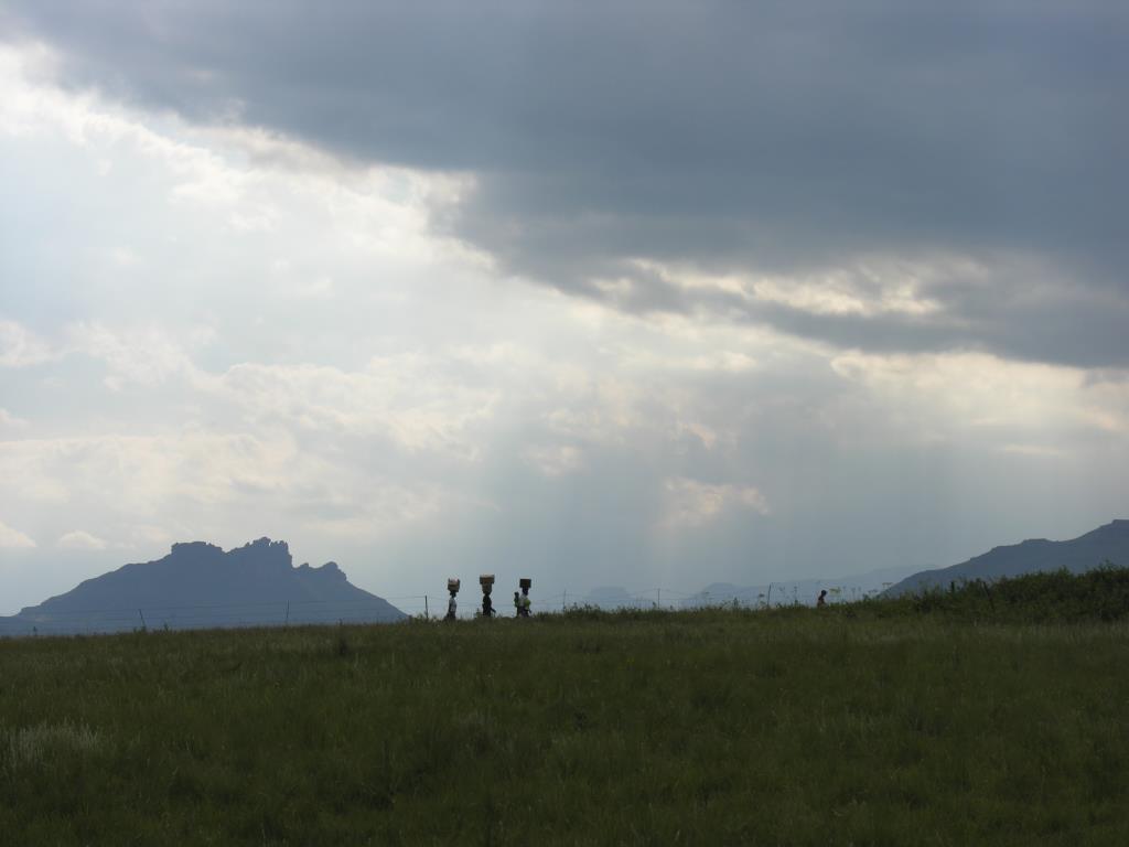 DSCN0203.JPG