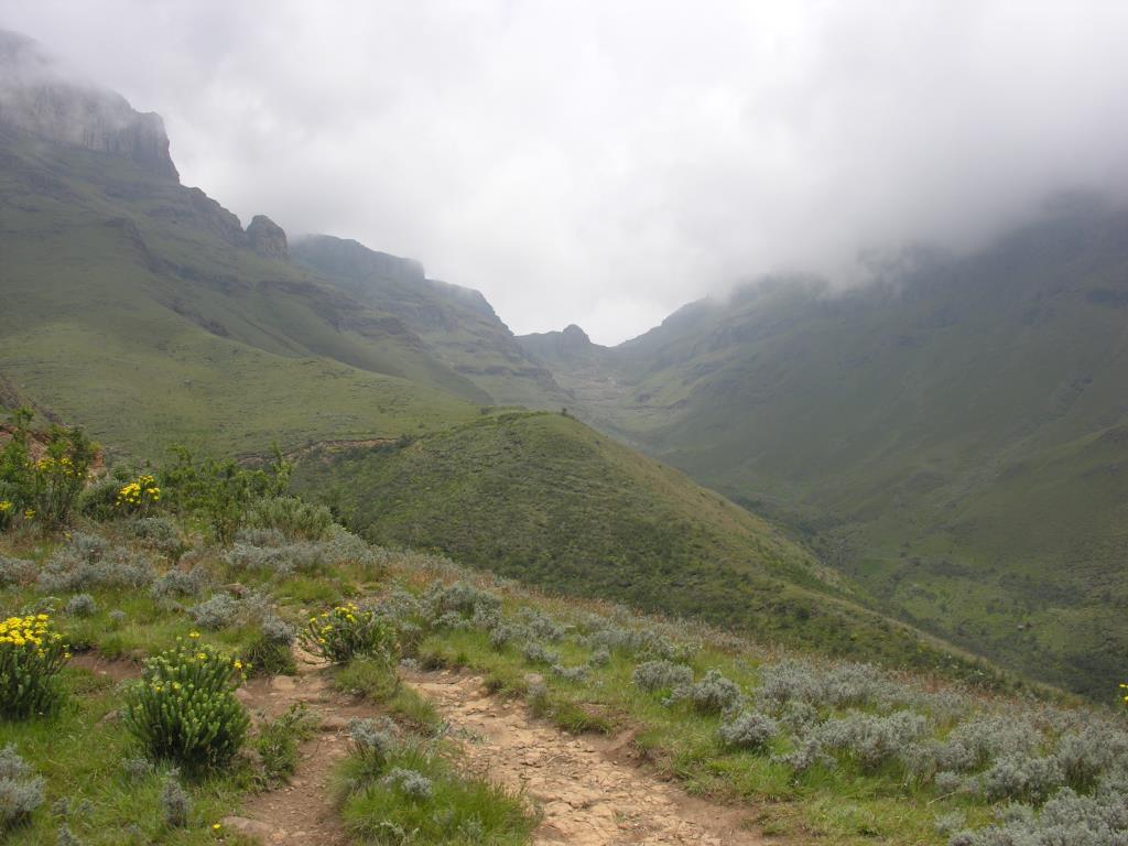 DSCN0275.JPG