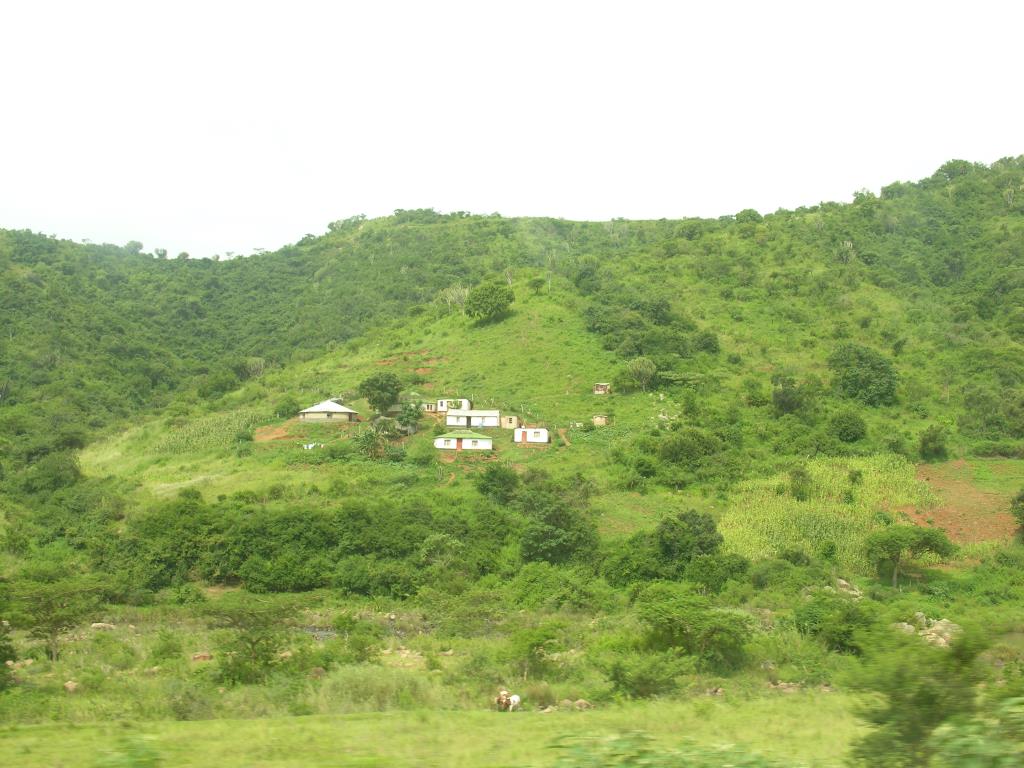 DSCN0451.JPG