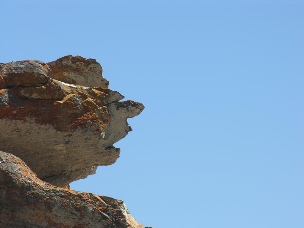 DSCN1031.JPG