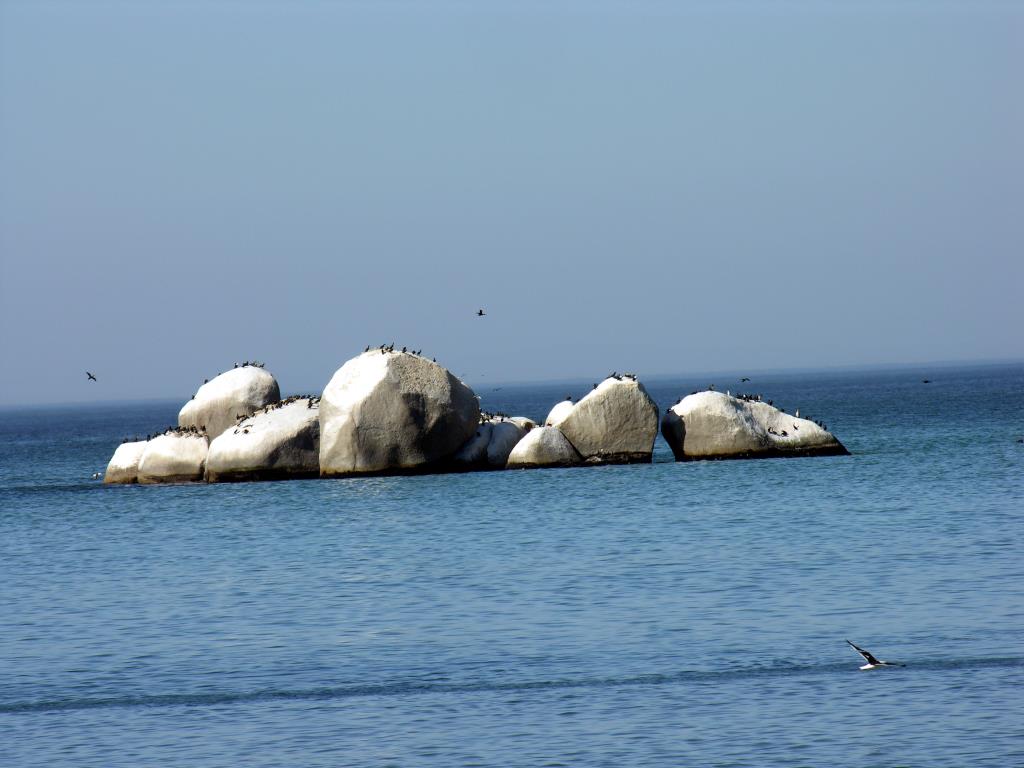 DSCN2650.JPG
