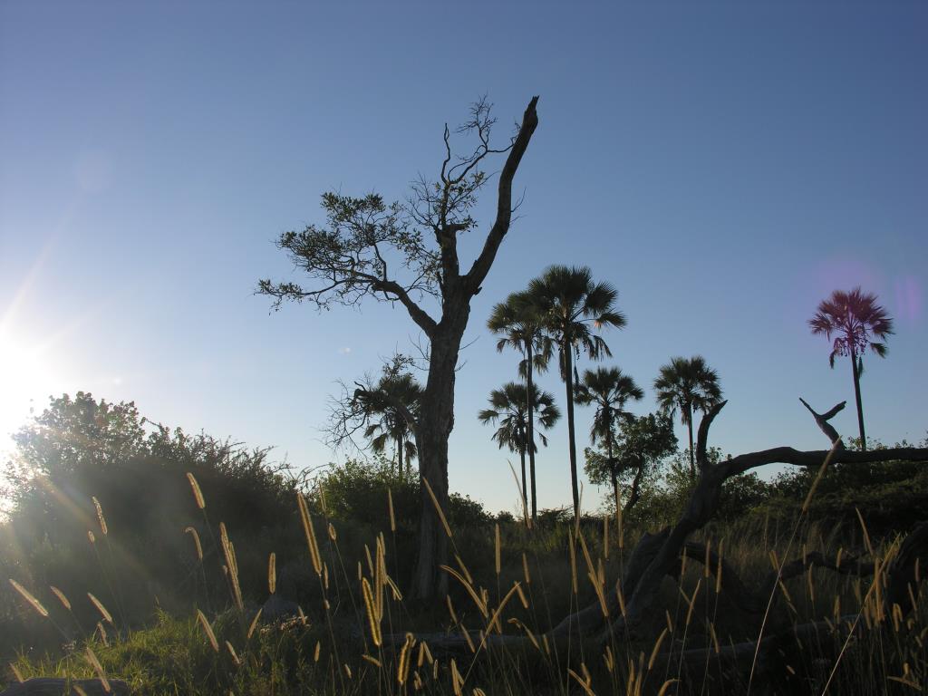 DSCN3466.JPG