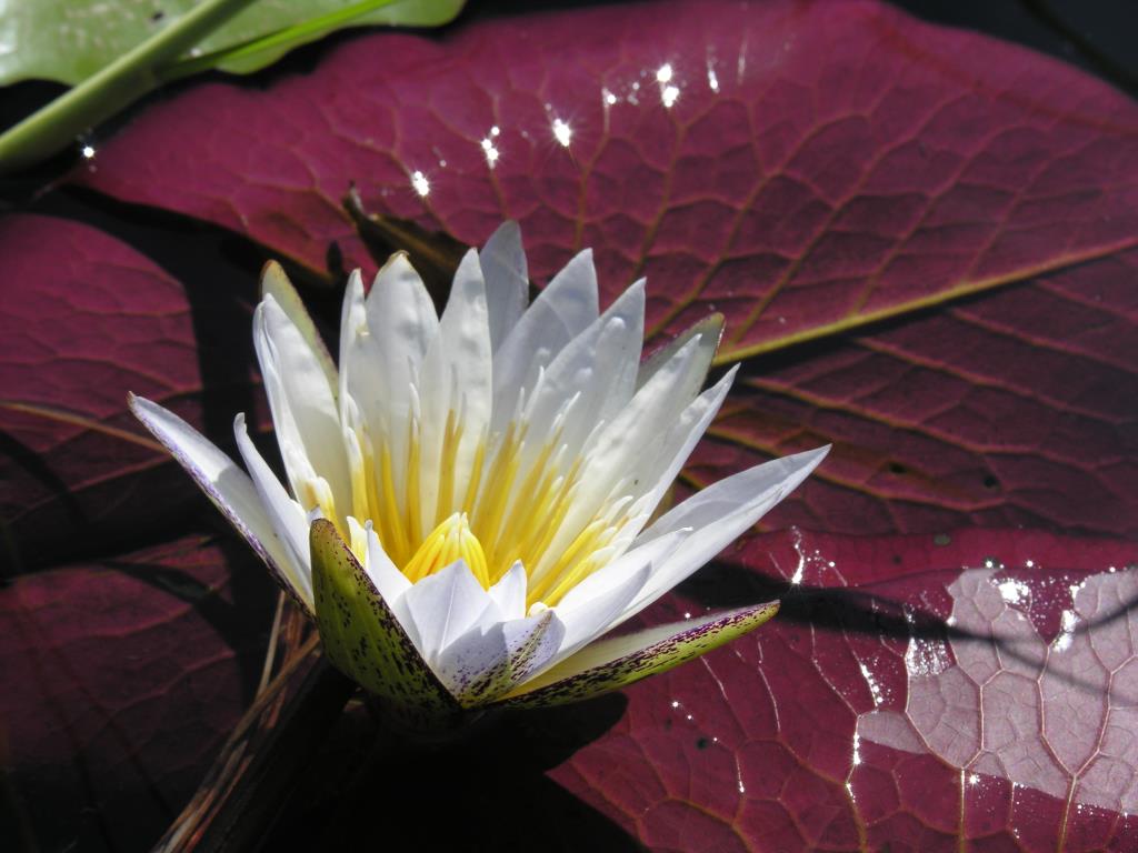 DSCN3500.JPG