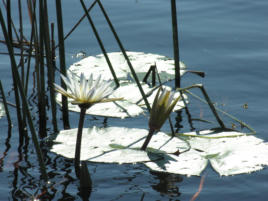 DSCN3554.JPG
