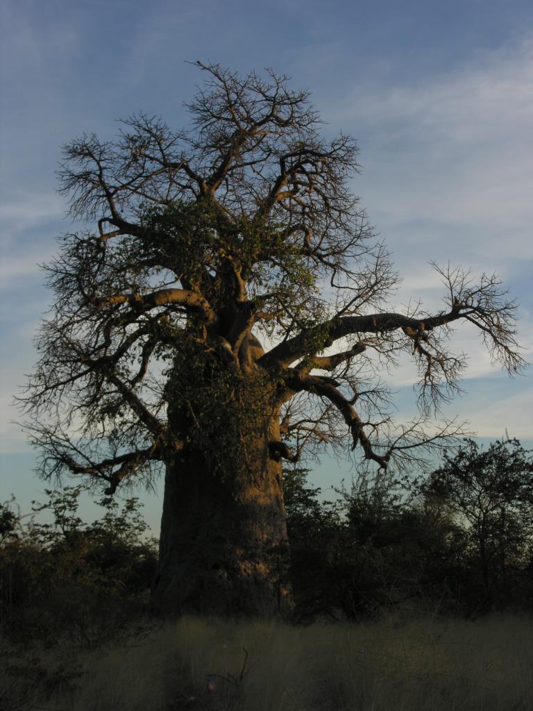 DSCN3610.JPG