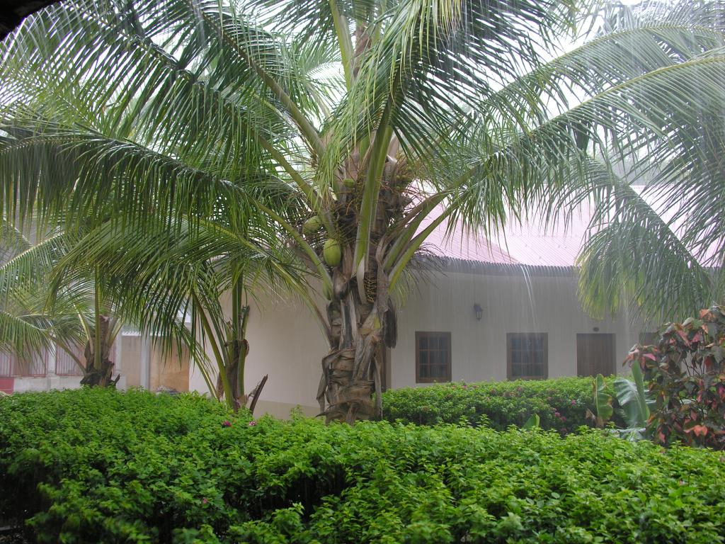 DSCN4439.JPG