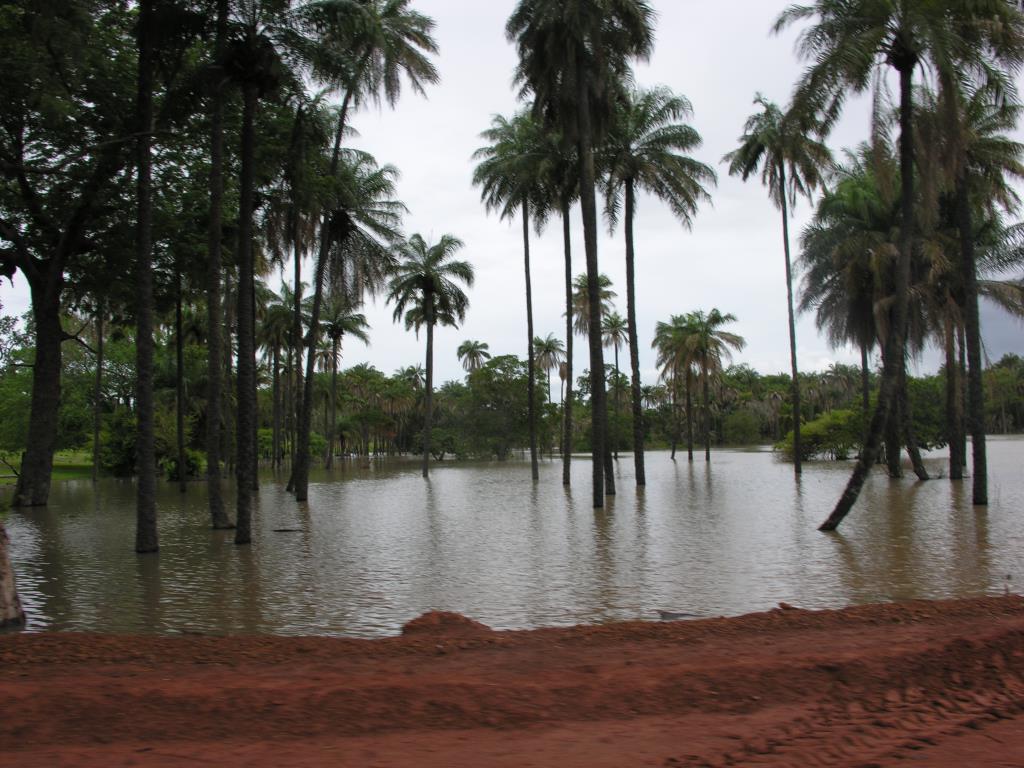 DSCN4516.JPG