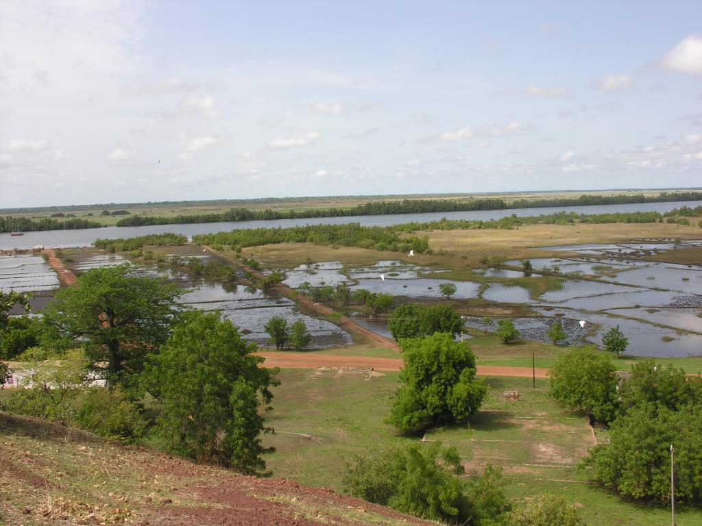 DSCN4566.JPG