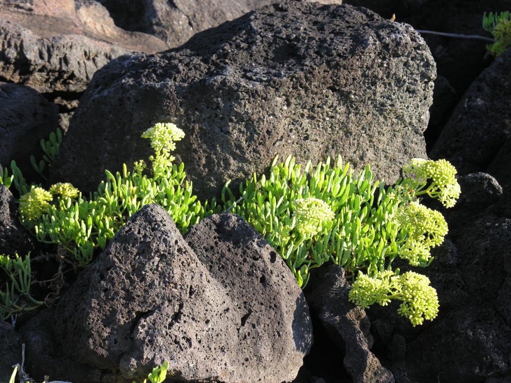 DSCN6033.JPG