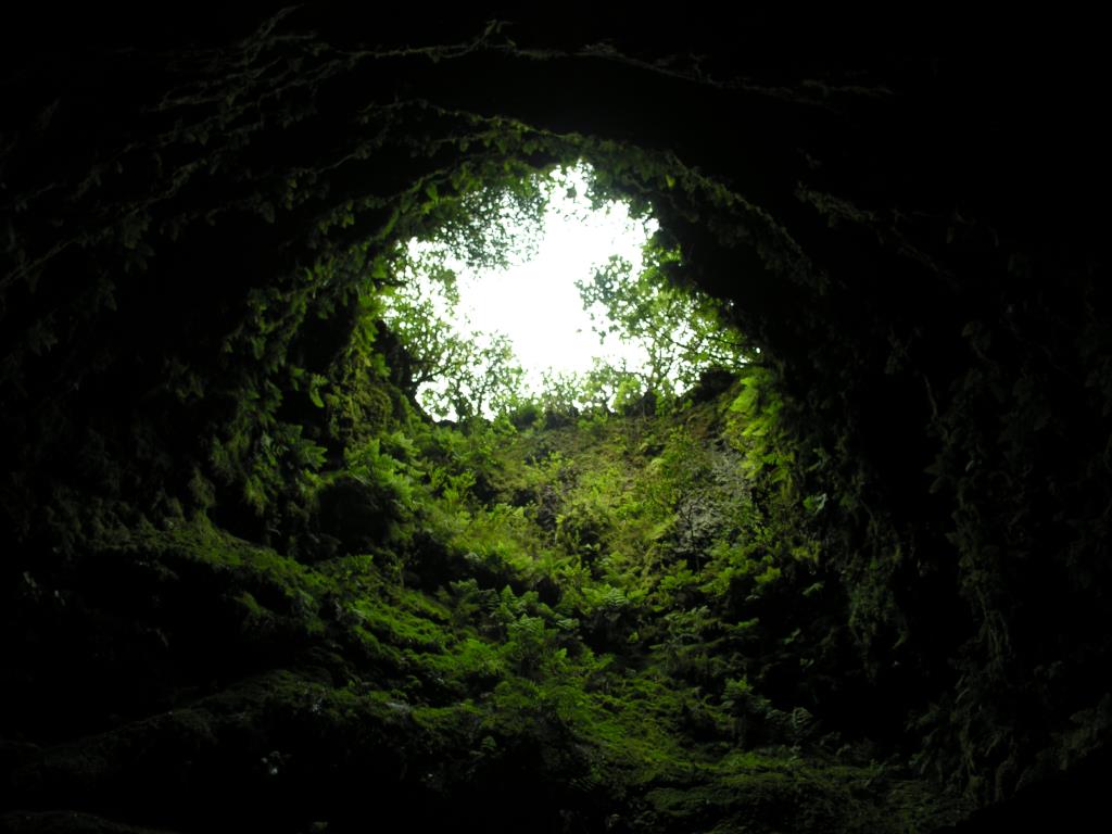 DSCN6513.JPG