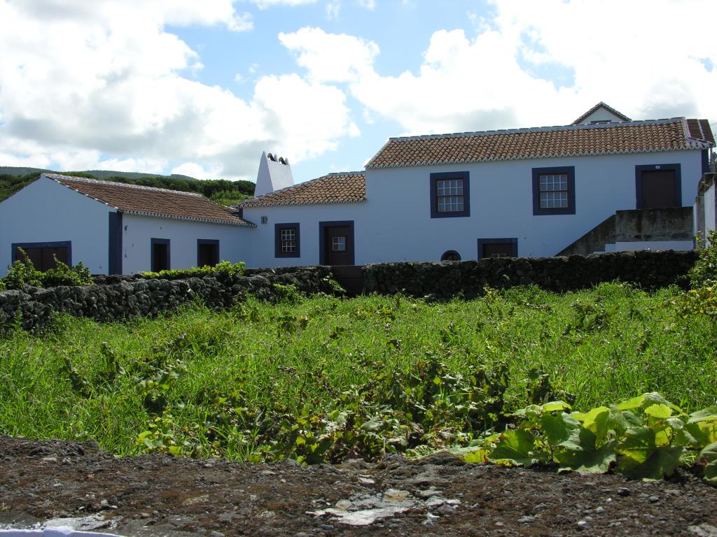 DSCN6596.JPG
