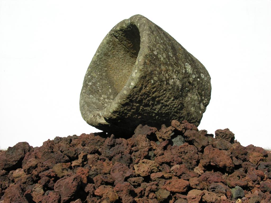 DSCN6612.JPG
